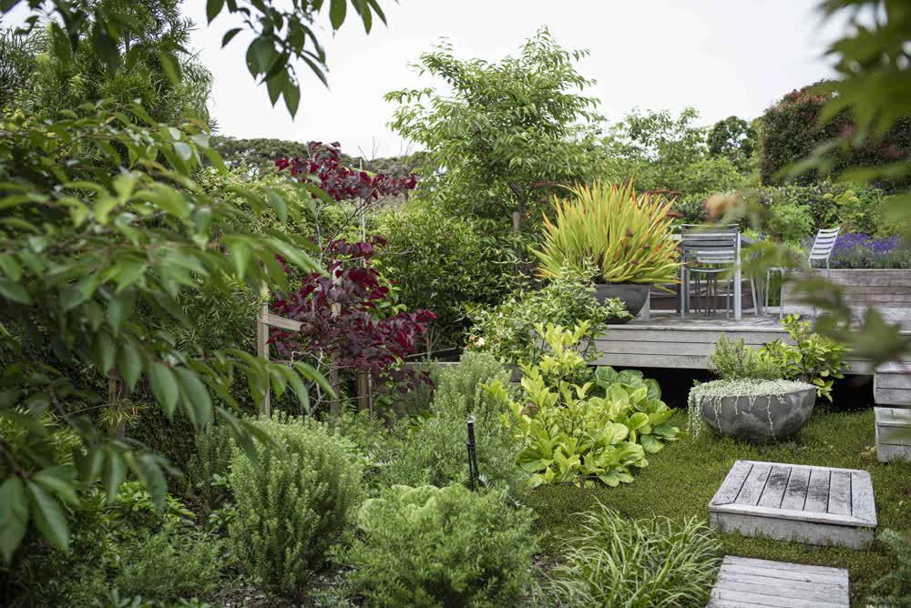 Densely planted garden with deck and raised garden beds